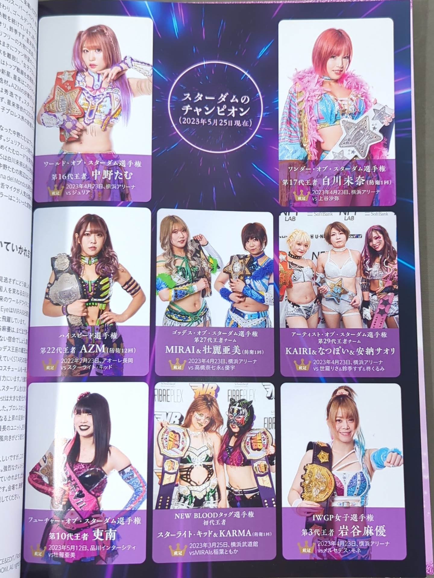 STARDOM OFFICIAL GUIDE BOOK Vol.147