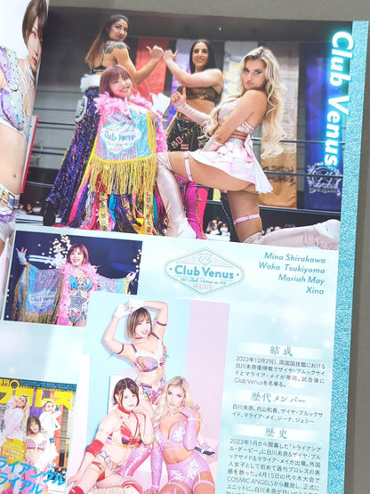 STARDOM OFFICIAL GUIDE BOOK Vol.147