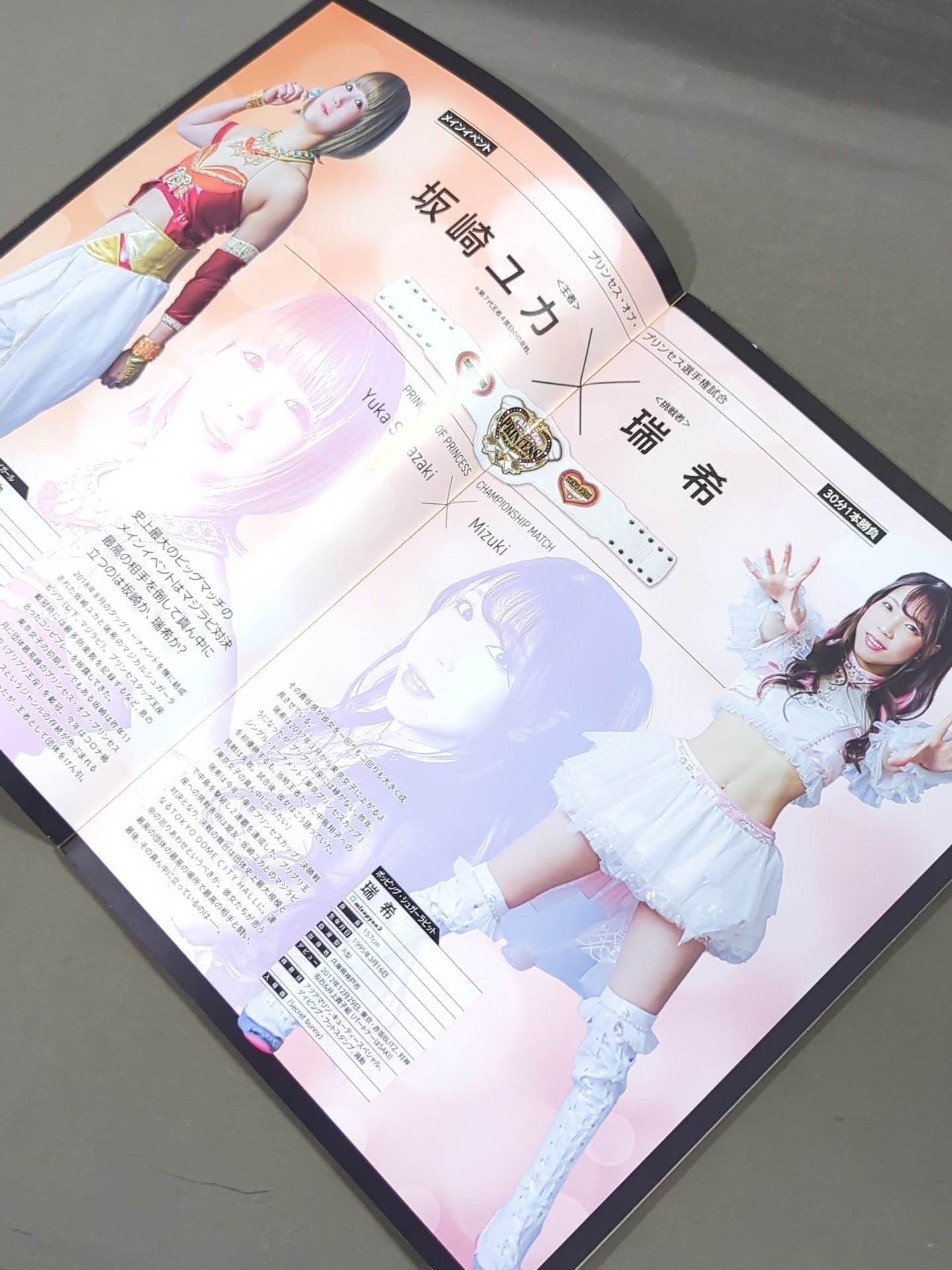 Tokyo Joshi Pro Wrestling  / WRESTLE PRINCESS