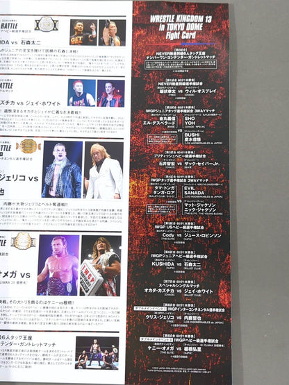 WRESTLE KINGDOM 13