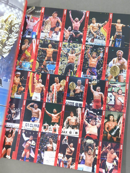 G1 CLIMAX 30 / G1クライマックス30