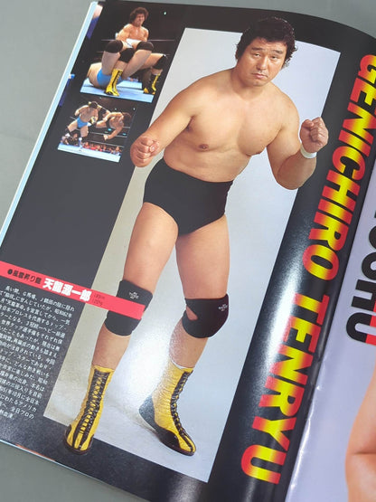 WWF・全日本・新日本 / 日米レスリングサミット