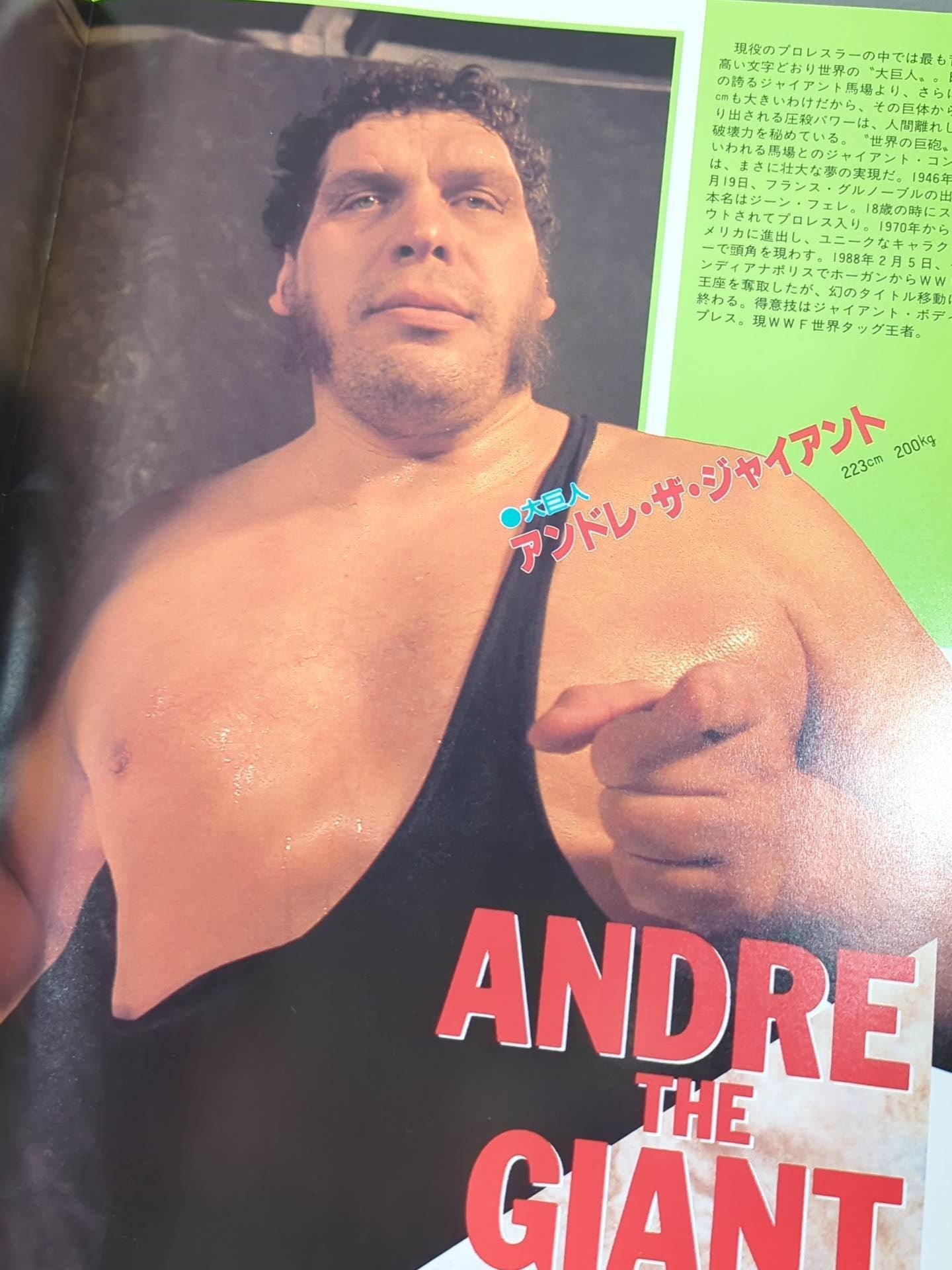 WWF・全日本・新日本 / 日米レスリングサミット