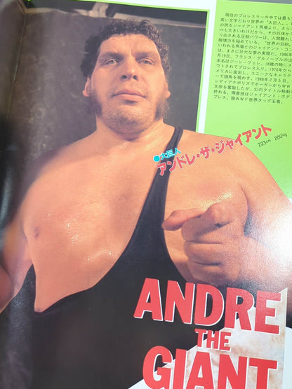 WWF・全日本・新日本 / 日米レスリングサミット