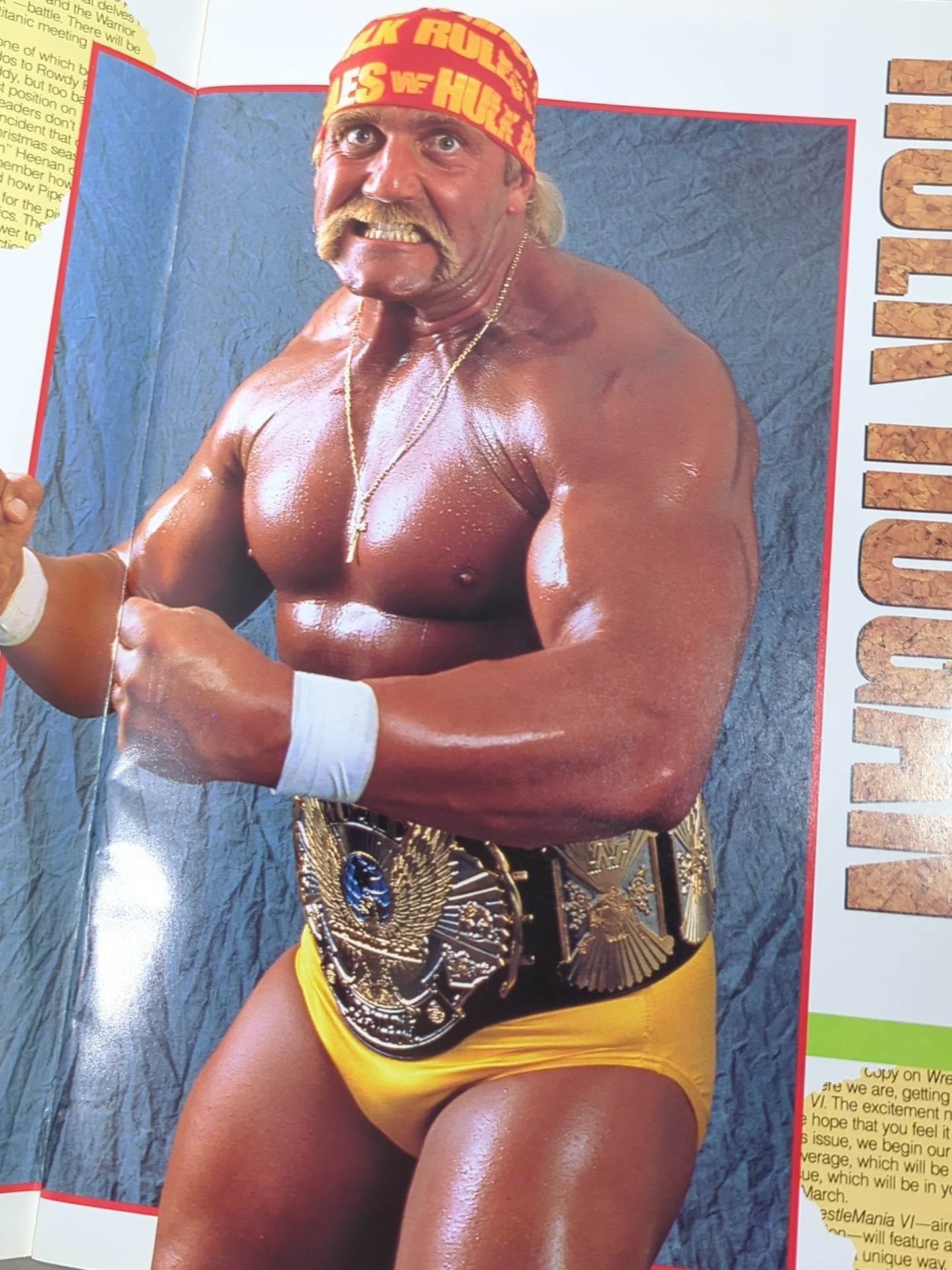 WWF・全日本・新日本 / 日米レスリングサミット