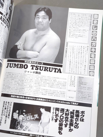 93 Summer Action Series II / Declaration of Flight!