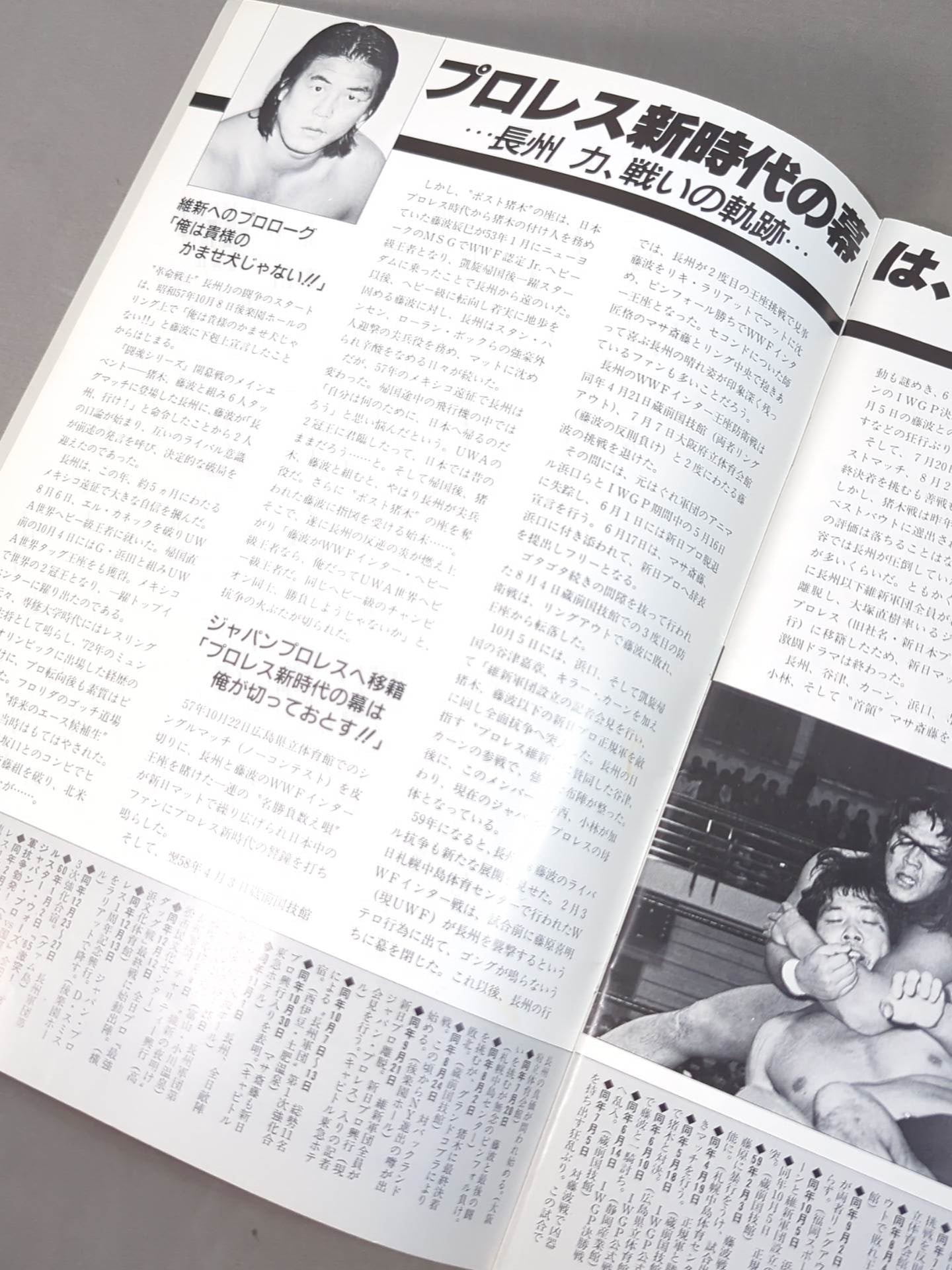 Japan Pro Wrestling / 85 Big Laliat Festival