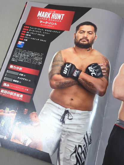 UFC JAPAN 2013