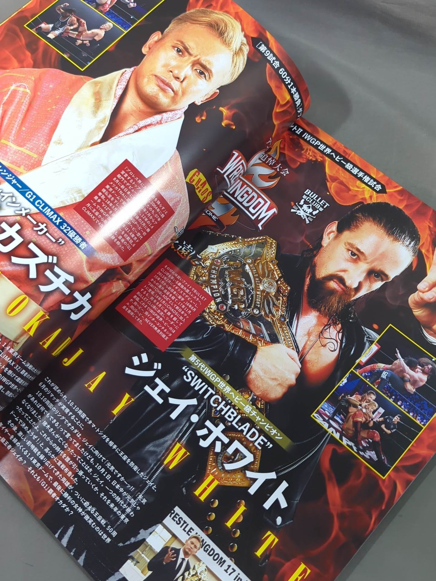 ★ Antonio Inoki  Memorial Tournament ★ Wrestle Kingdom 17 ~Fighting Spirit, Forever~
