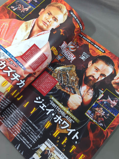 ★ Antonio Inoki  Memorial Tournament ★ Wrestle Kingdom 17 ~Fighting Spirit, Forever~