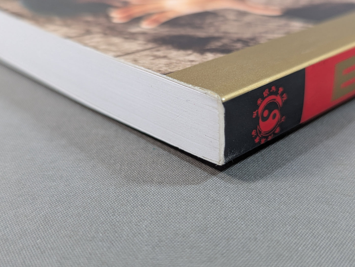 Bruce Lee The Tao of Gung Fu : A Study in the Way of Chinese Martial Art (VOLUME TWO)