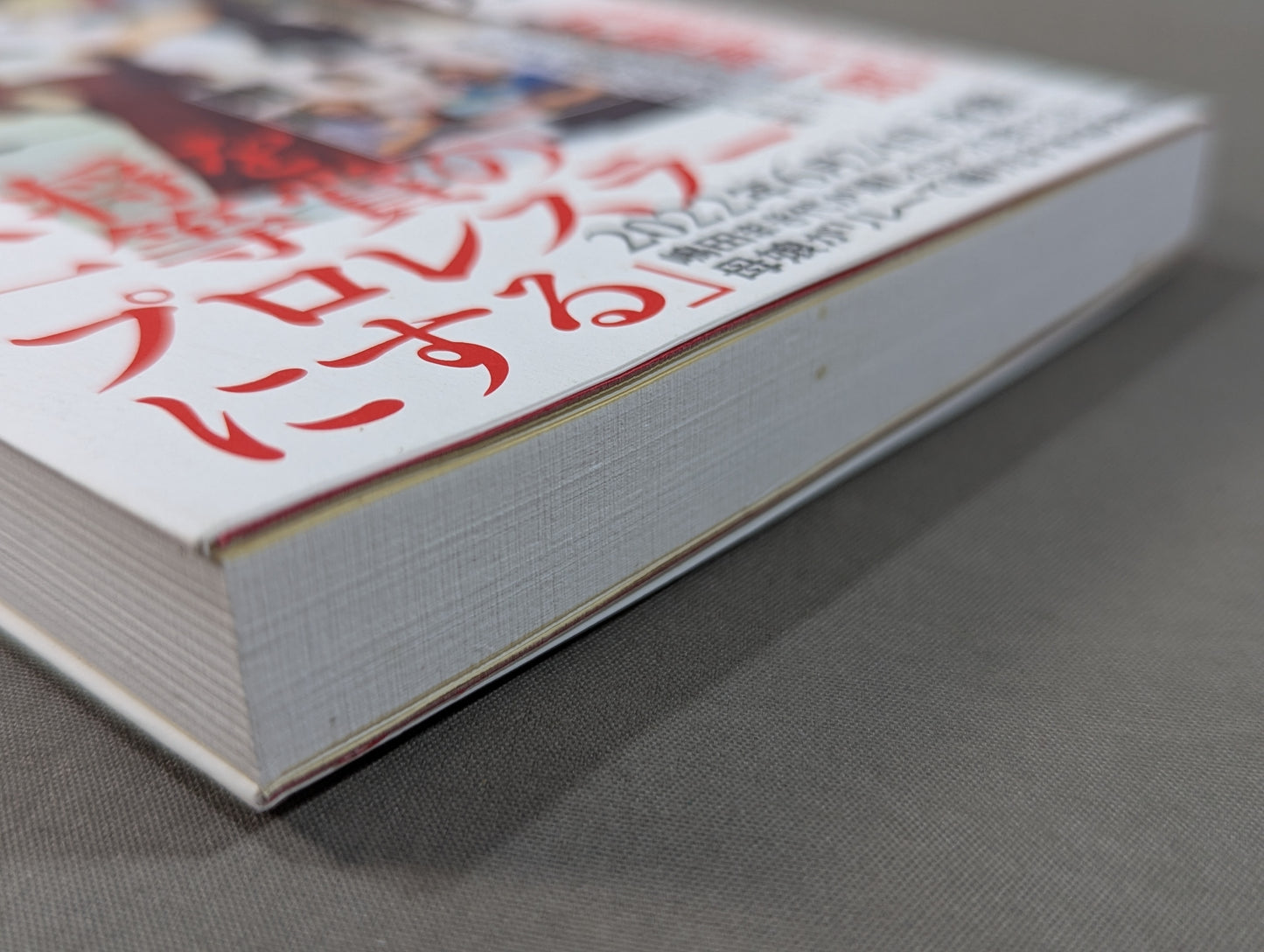 【直筆サイン入り】天龍源一郎の女房