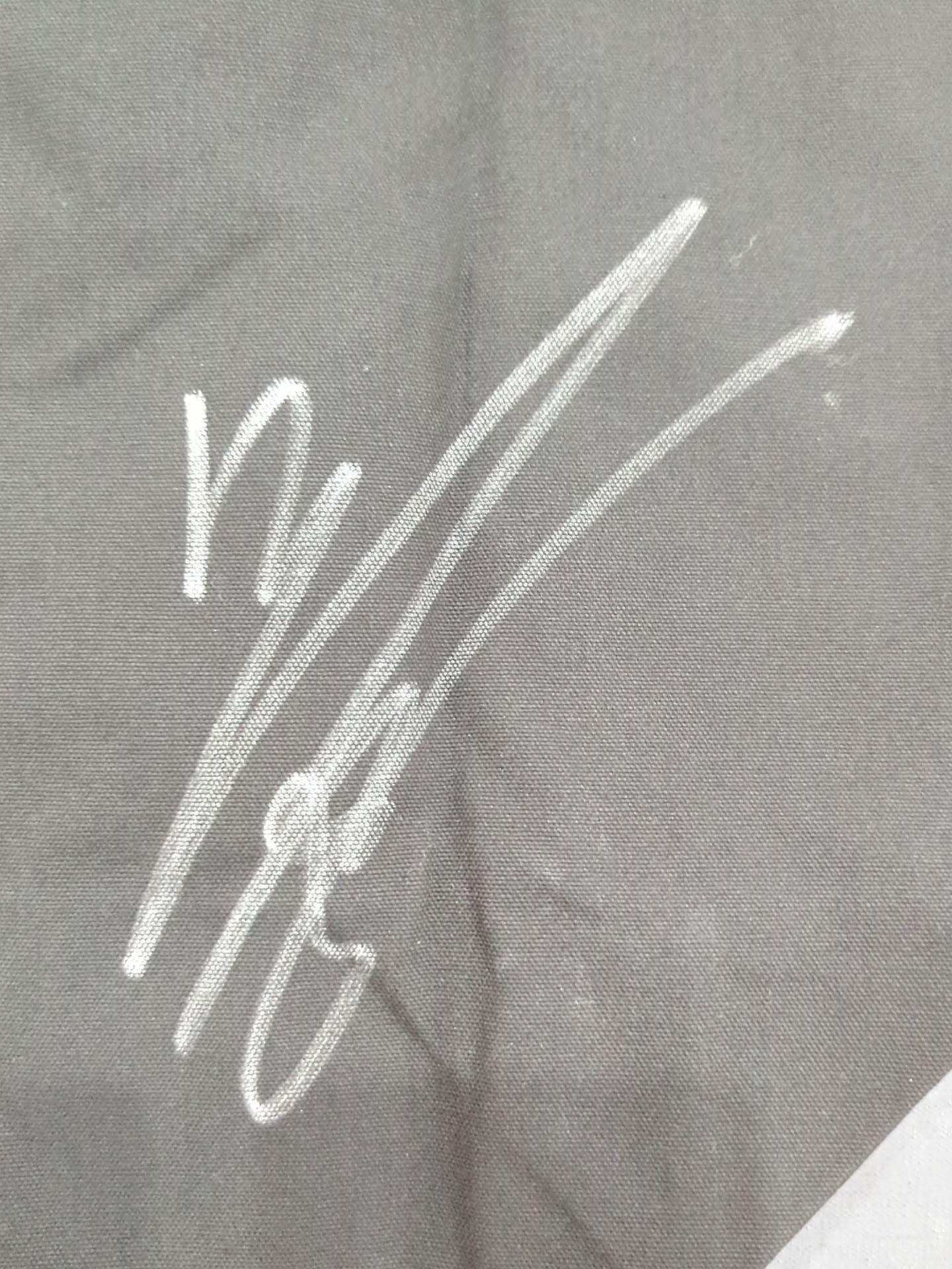 [3 fighters hand signed autograph 】Big Japan Pro Wrestling  "BIG JAPAN PRO-Wrestling " Tote Bag