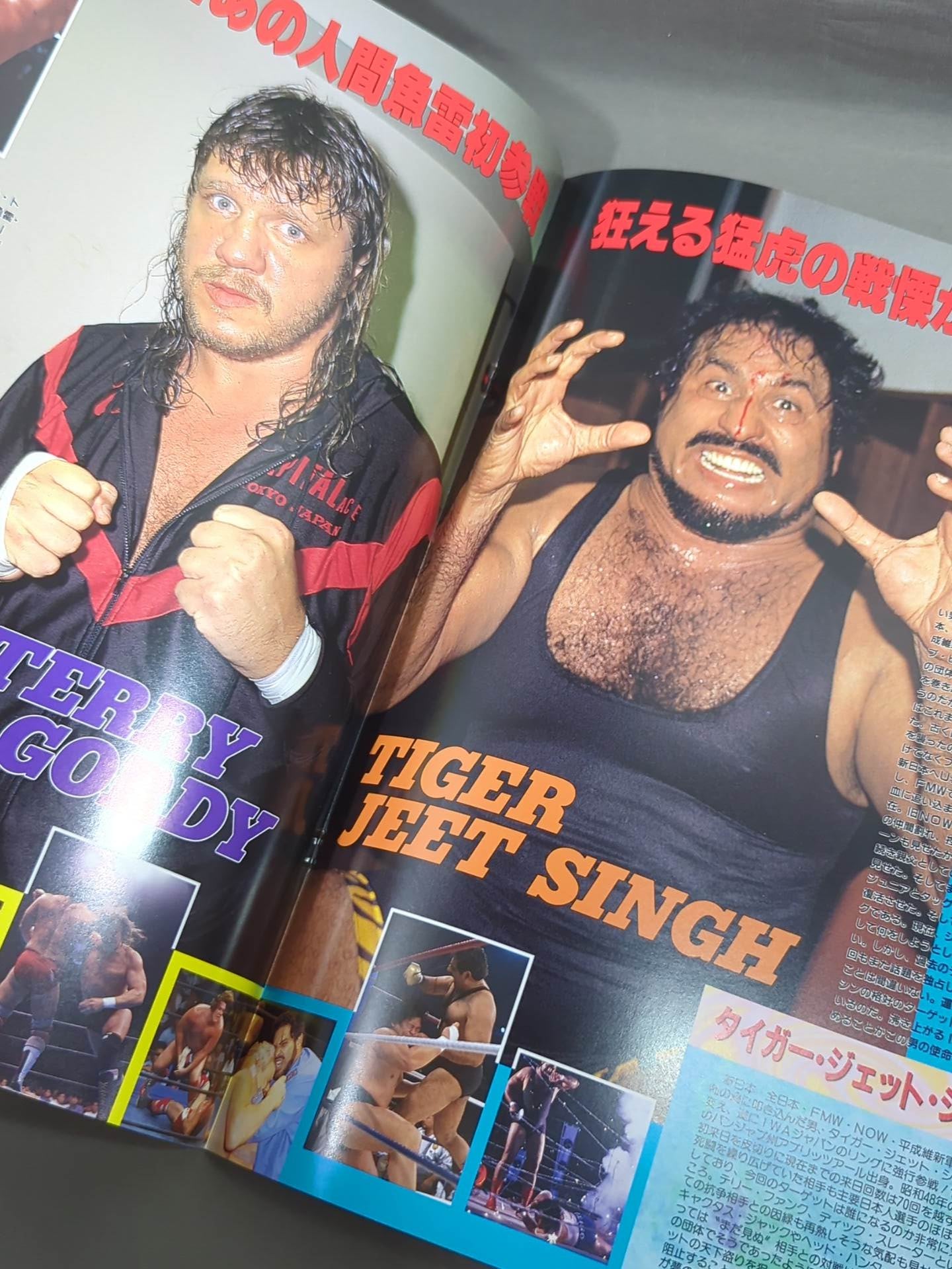 IWA JAPANPro Wrestling  / KAWASAKI DREAM Even Indies Dream