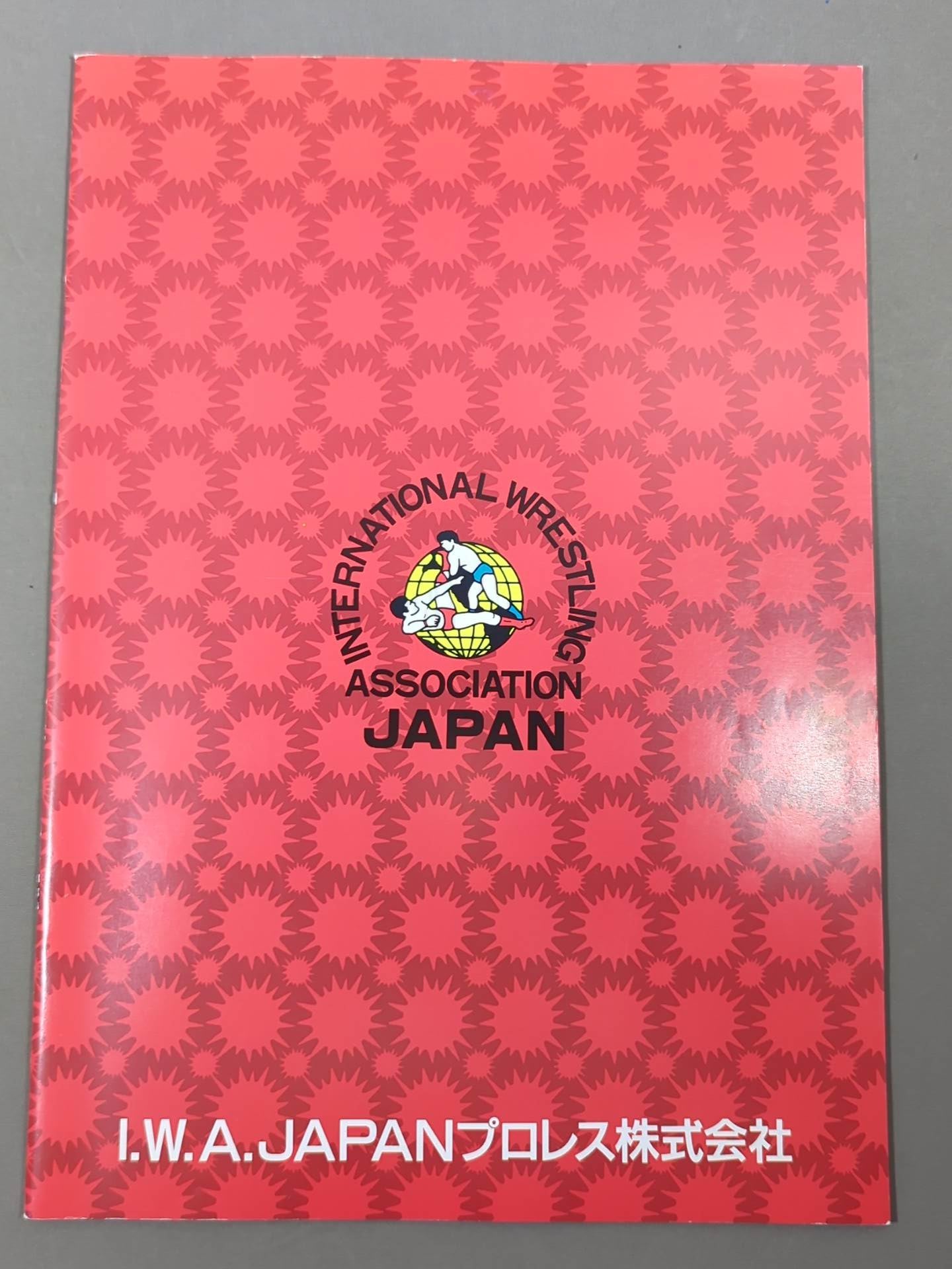 IWA JAPANPro Wrestling  / KAWASAKI DREAM Even Indies Dream