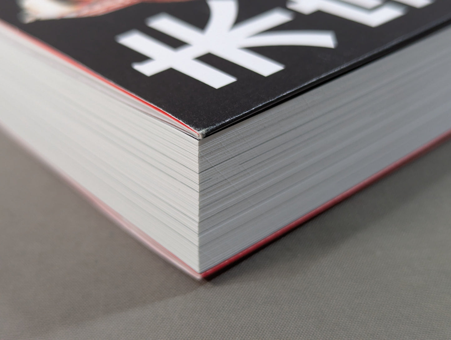 【直筆サイン入り】堀田祐美子 デビュー40周年自伝  未完の大器