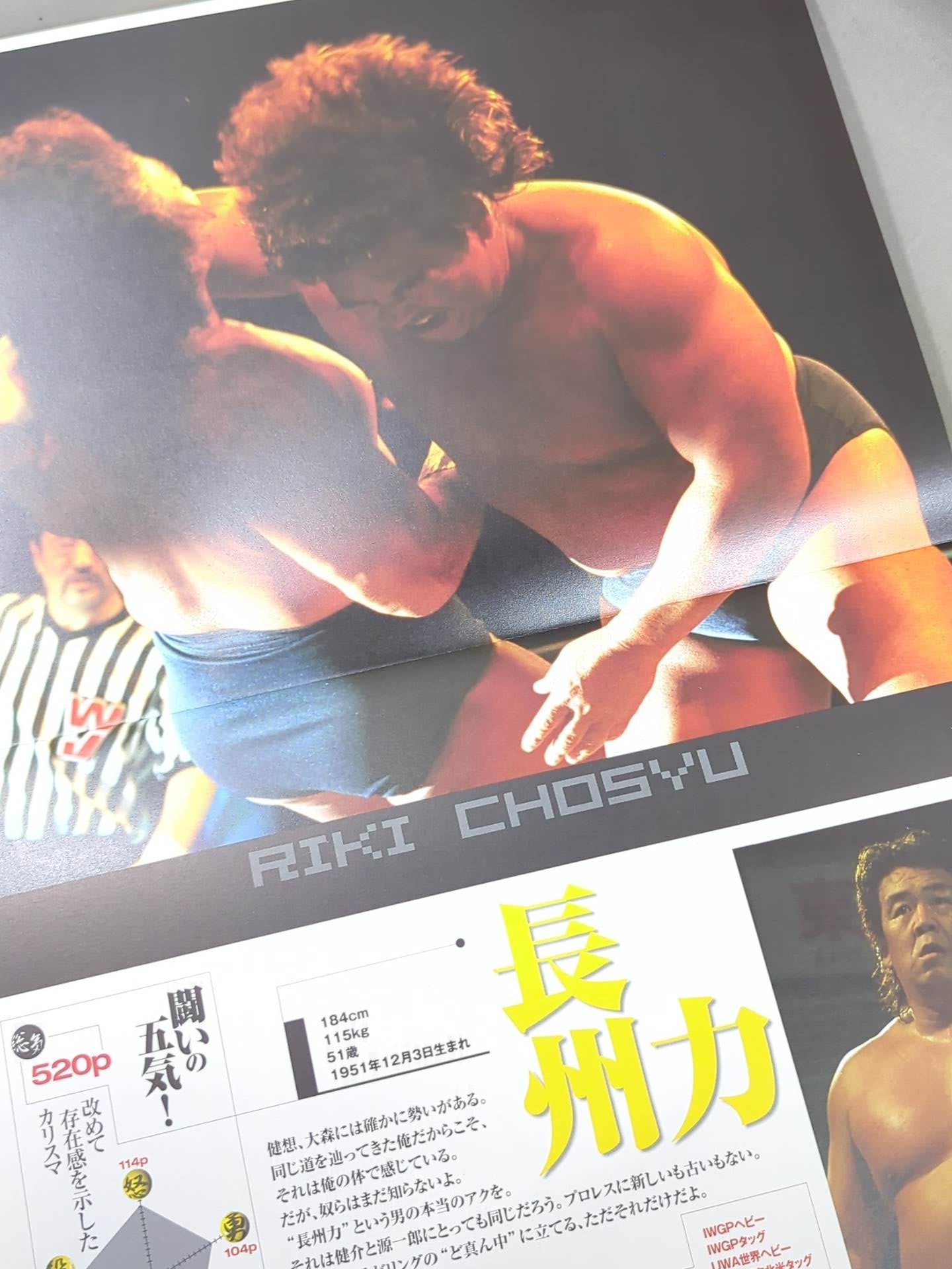 WJ Pro Wrestling  / MAGMA03 WJ Singles Strongest Match!