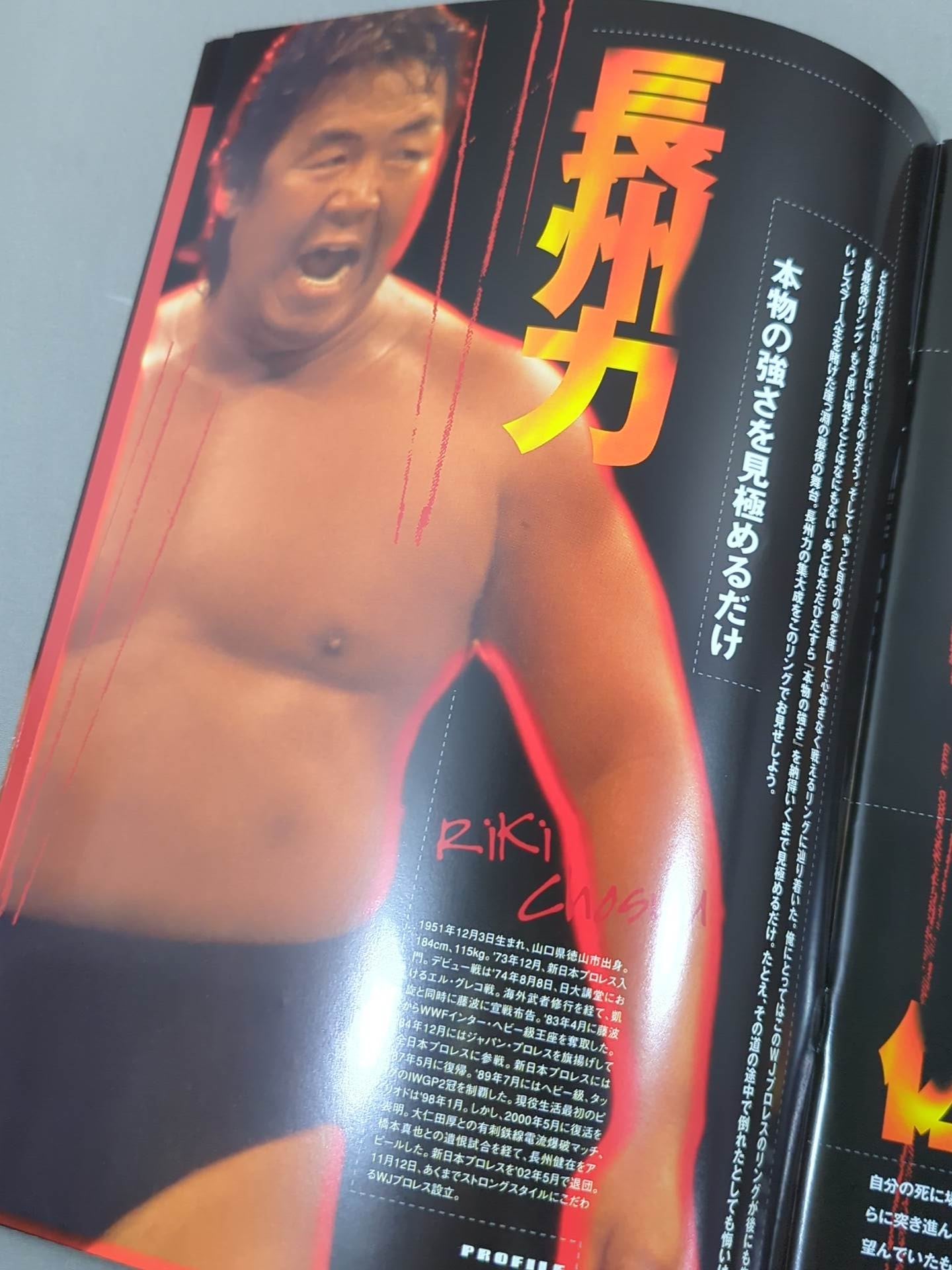 WJ Pro Wrestling  Flag-raising Series MAGMA01