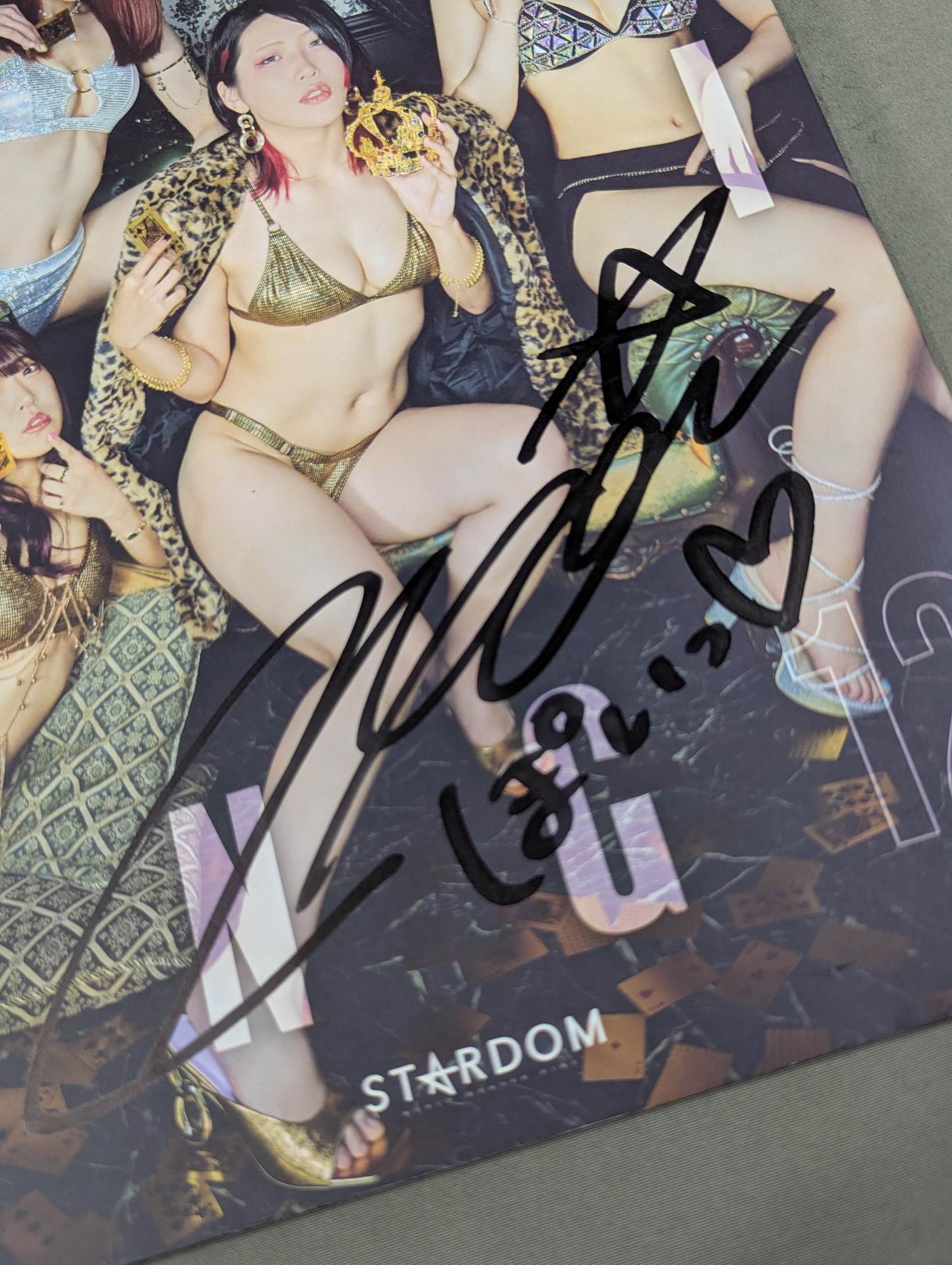 なつぽい 直筆サイン入り】STARDOM VISUAL BOOK Bikiniing 12 – 闘道館