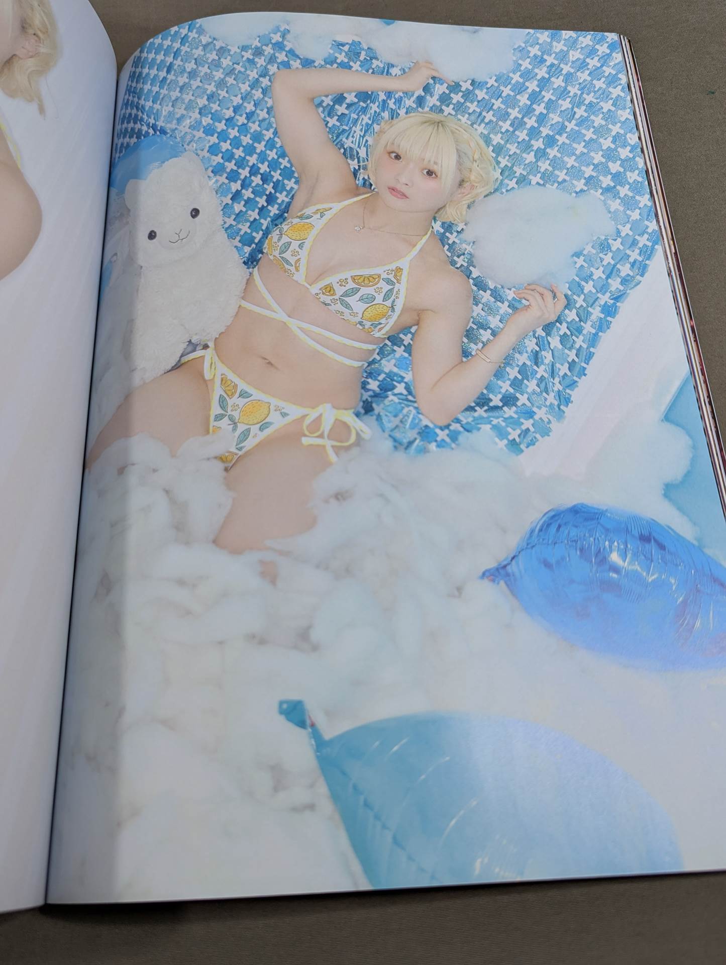 なつぽい 直筆サイン入り】STARDOM VISUAL BOOK Bikiniing 12 – 闘道館