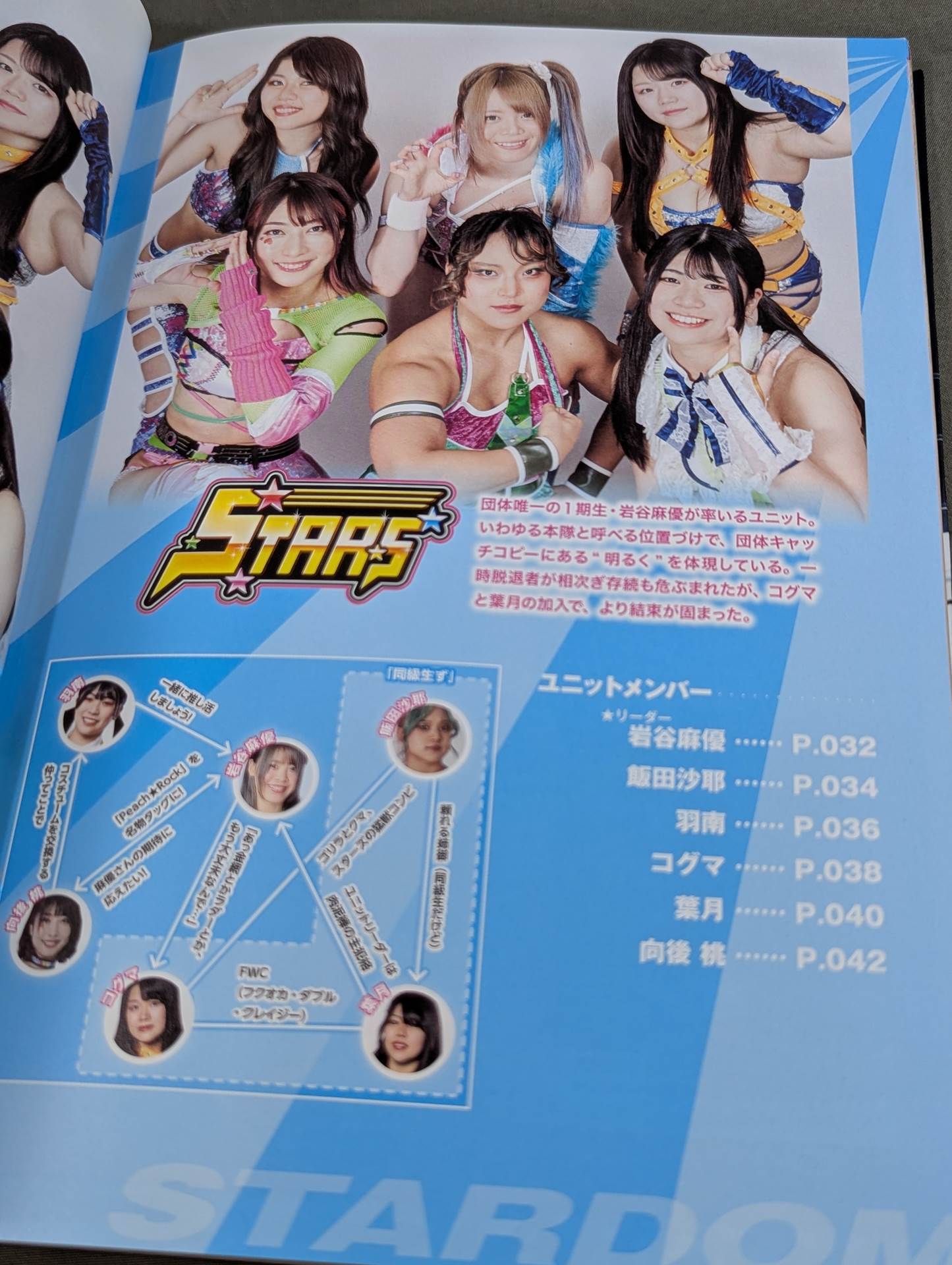 STARDOM FANBOOK 2