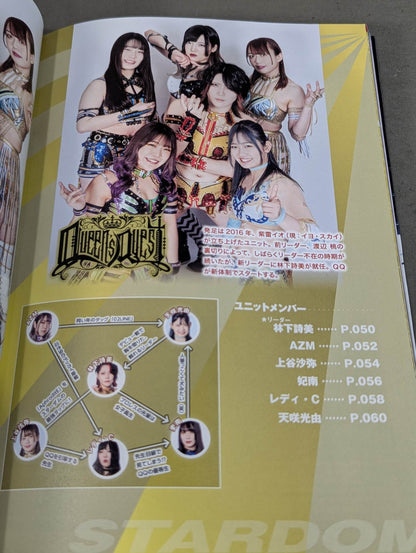 STARDOM FANBOOK 2