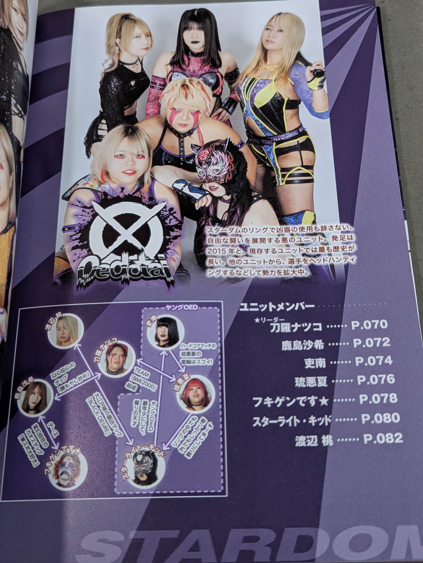 STARDOM FANBOOK 2