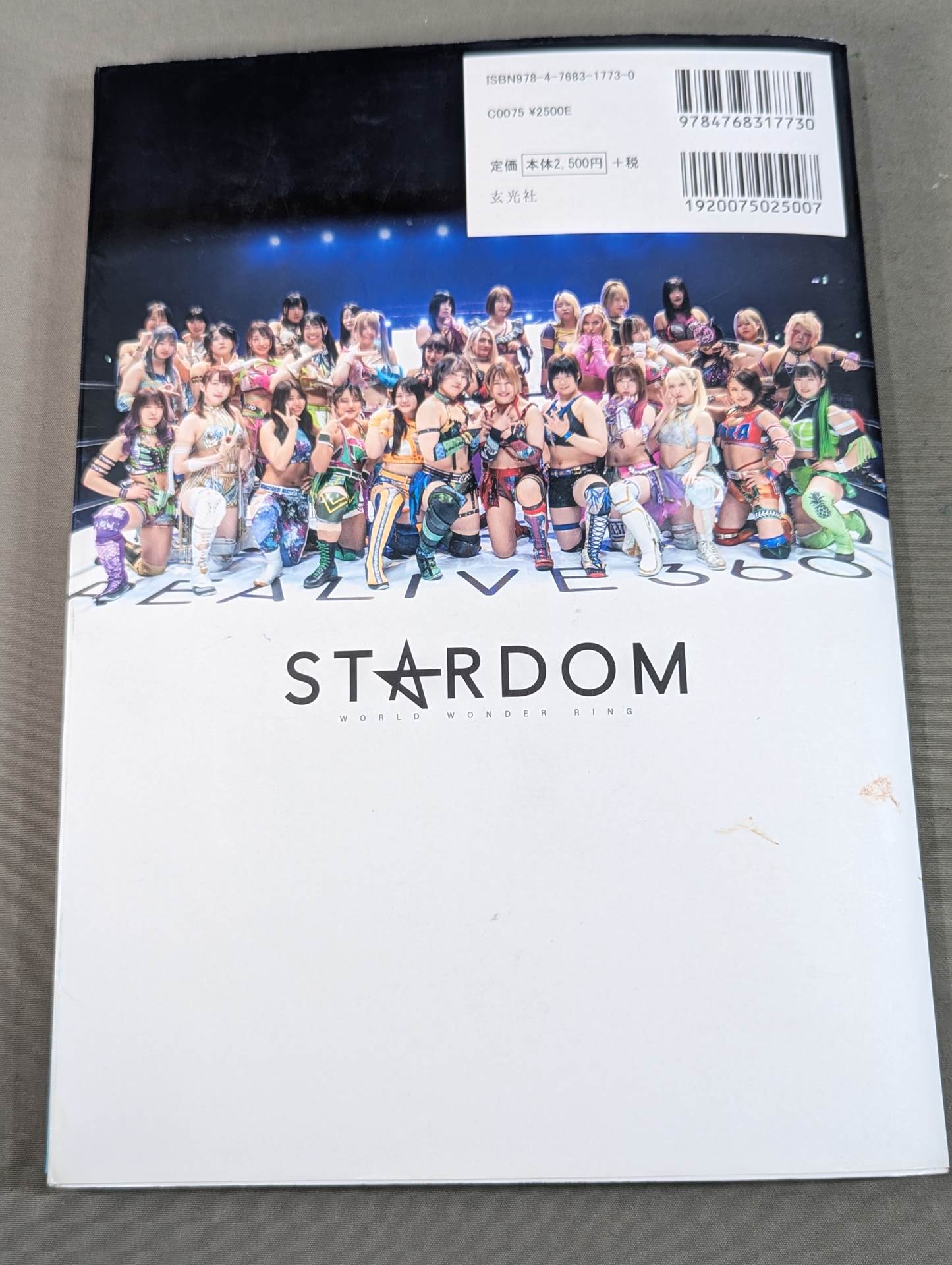 STARDOM FANBOOK 2