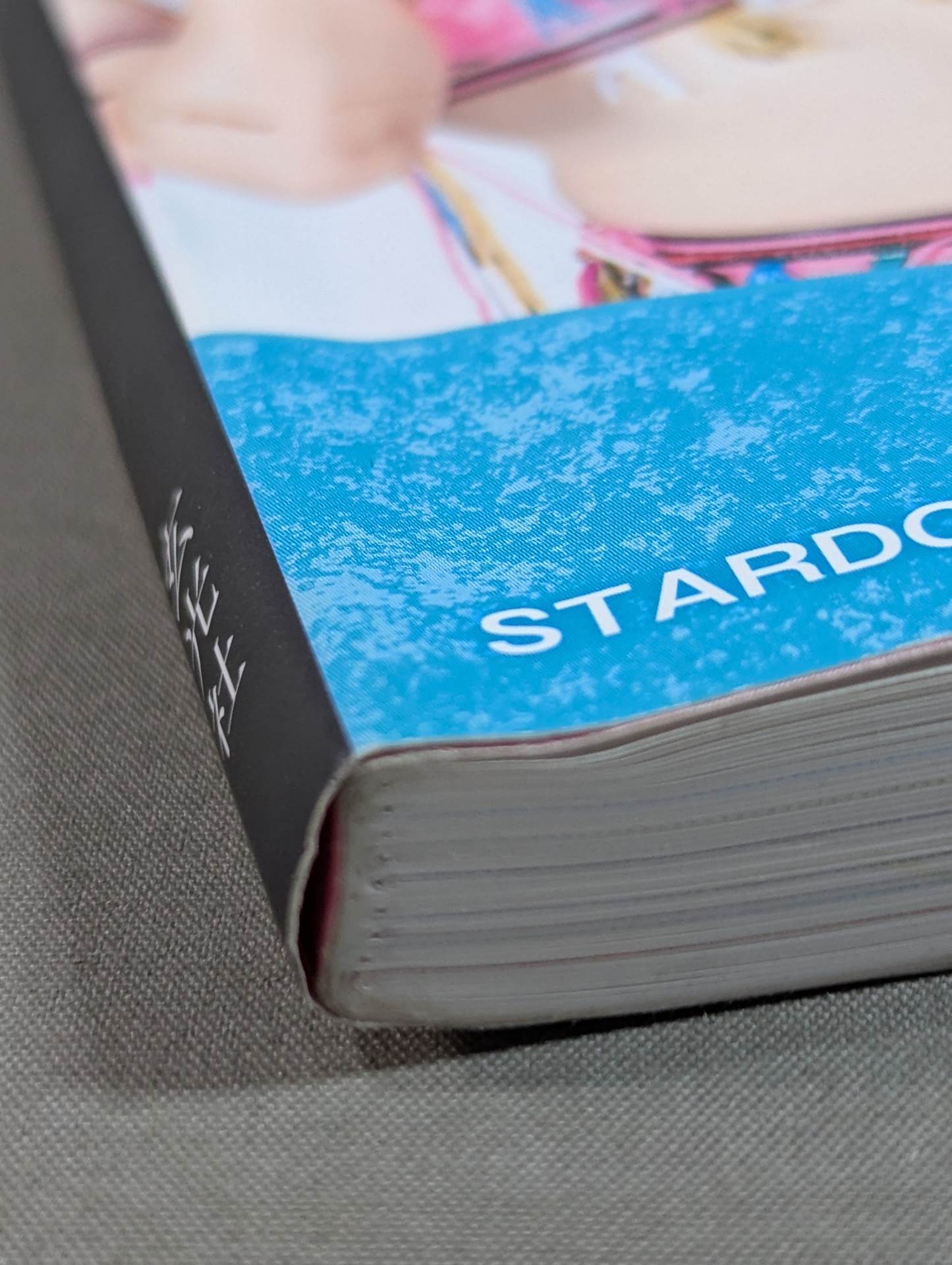 STARDOM FANBOOK 2