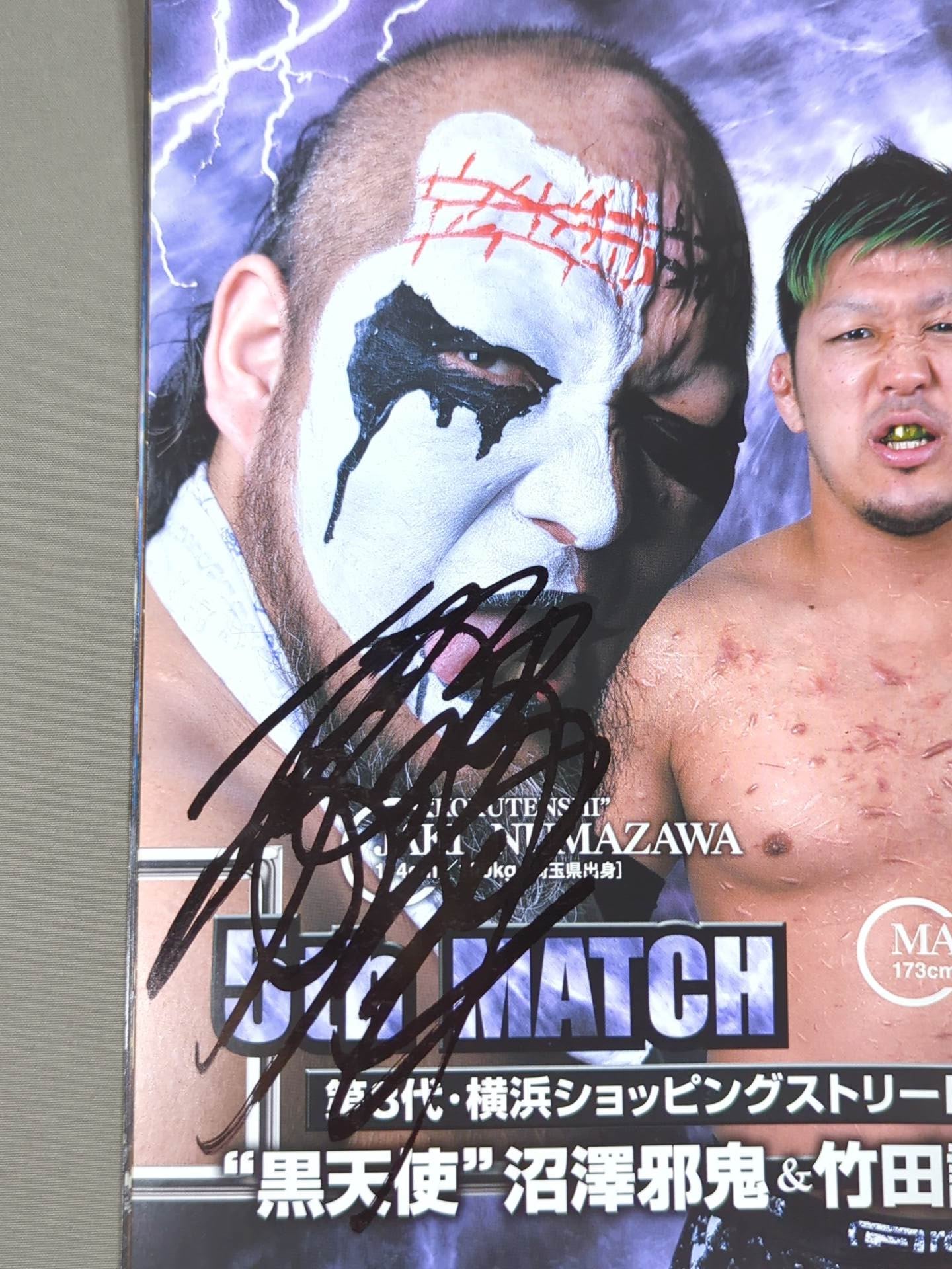 [18 fighters hand signed autograph Bipolar Tale 2016