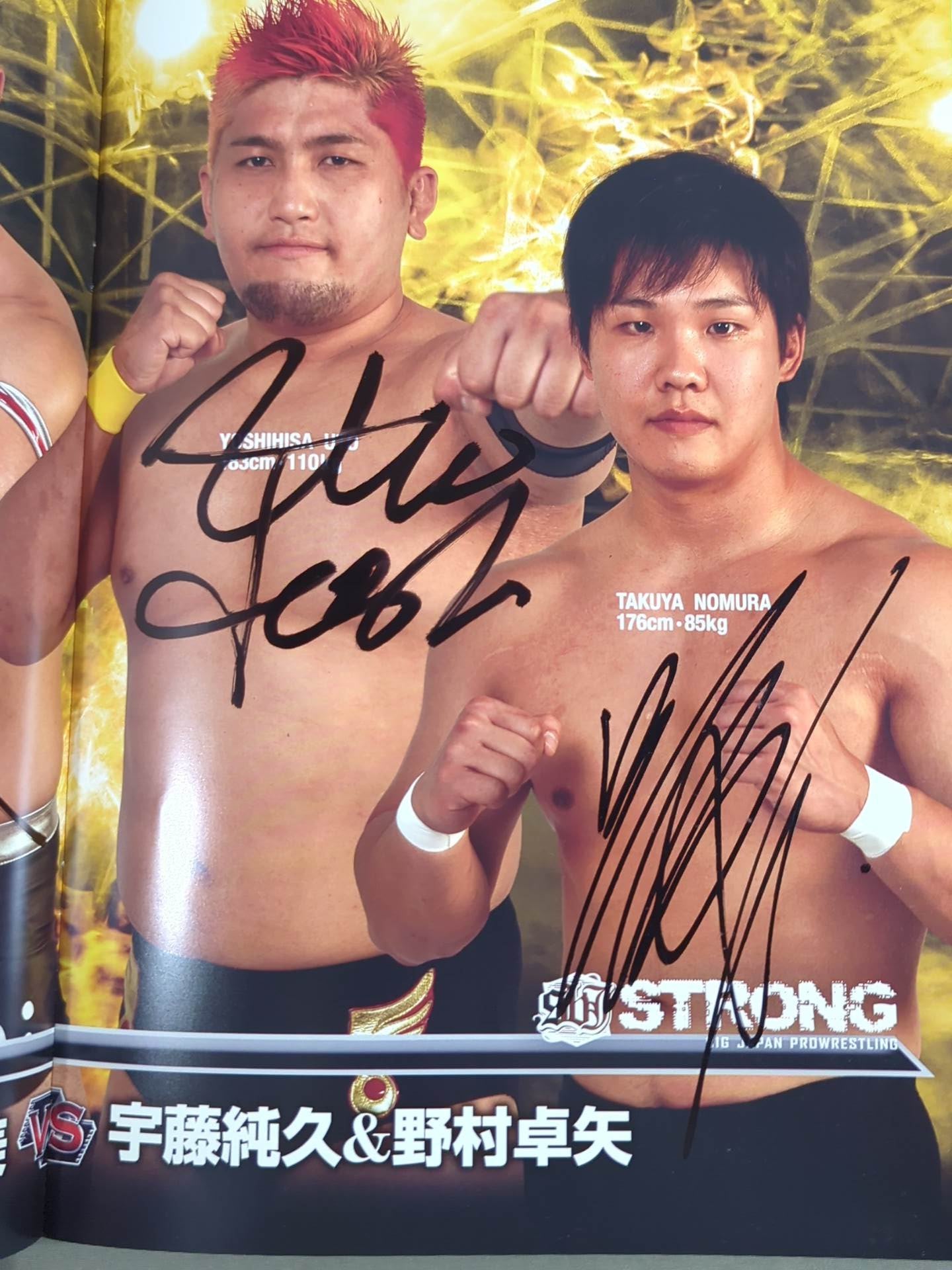 [25 fighters hand signed autograph Bipolar Tale 2017