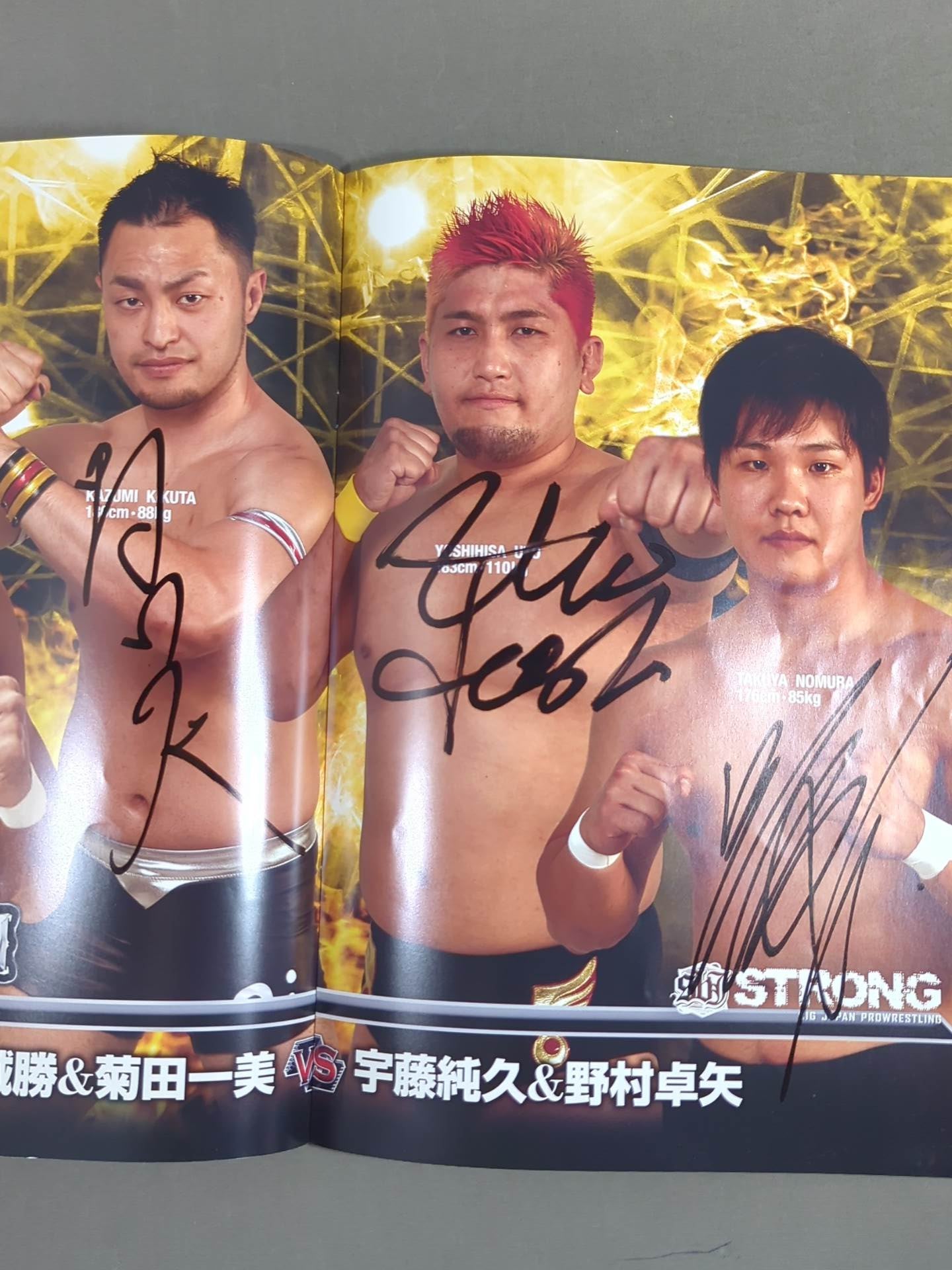 [25 fighters hand signed autograph Bipolar Tale 2017