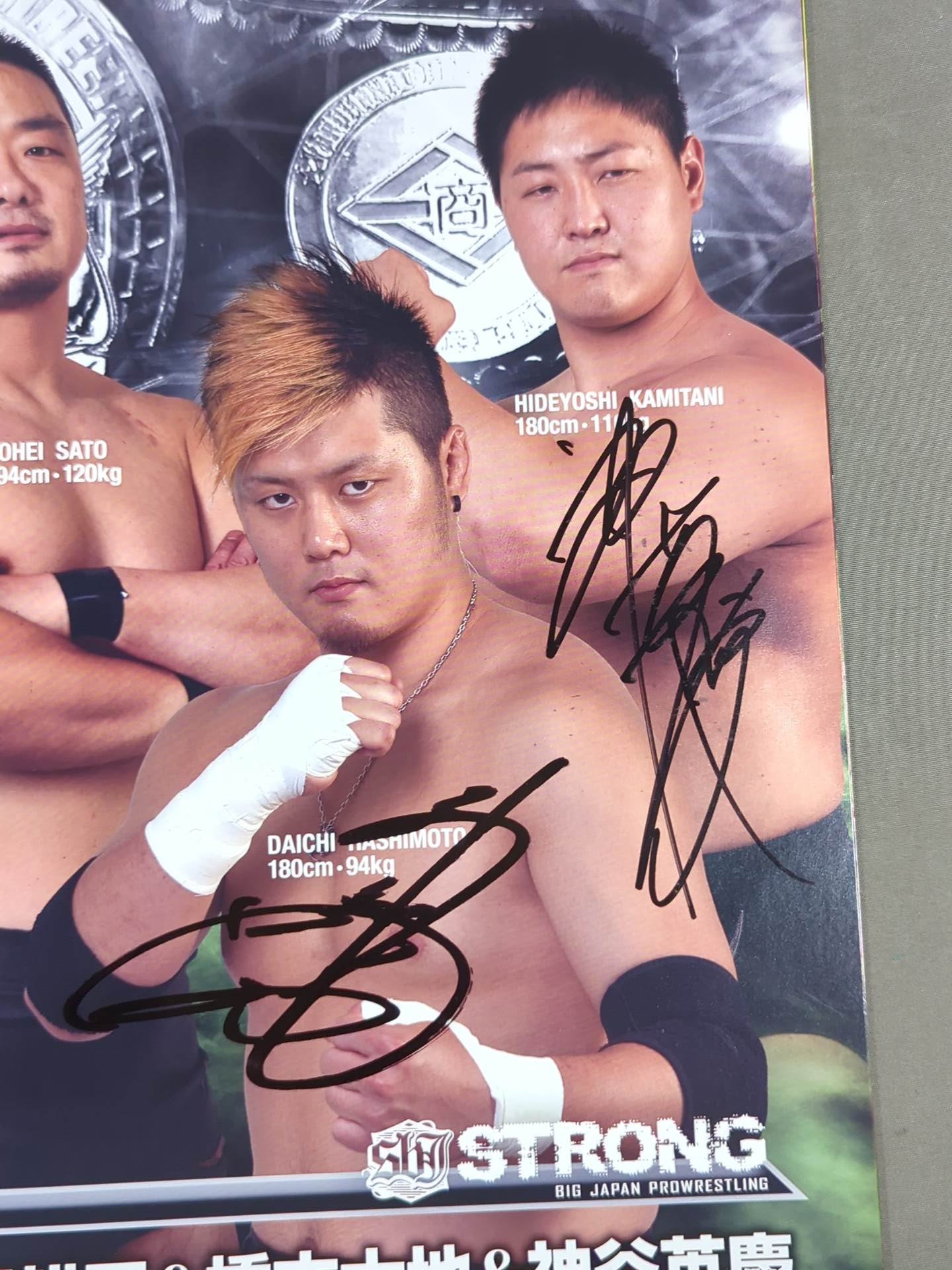 [25 fighters hand signed autograph Bipolar Tale 2017