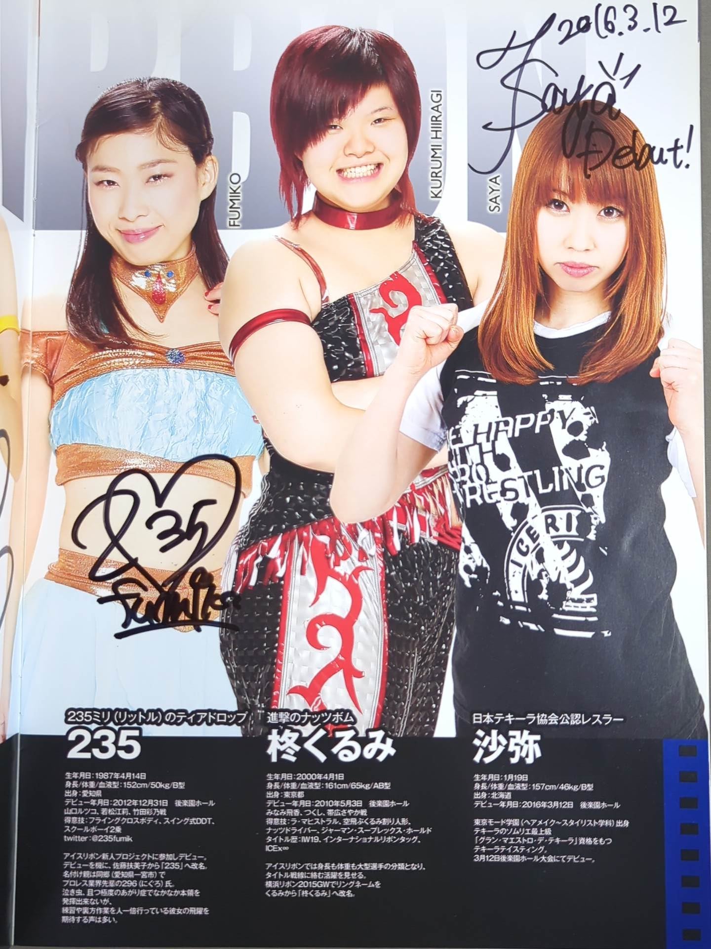 [4 fighters hand signed autograph 】Ice Ribbon Official Pamphlet 2016