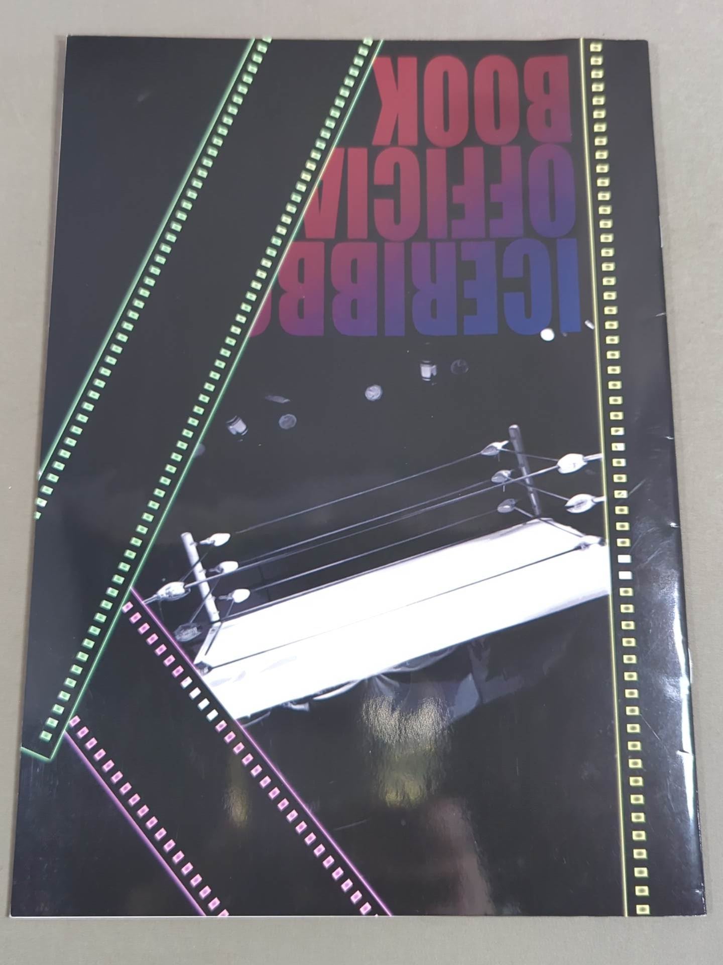 [4 fighters hand signed autograph 】Ice Ribbon Official Pamphlet 2016