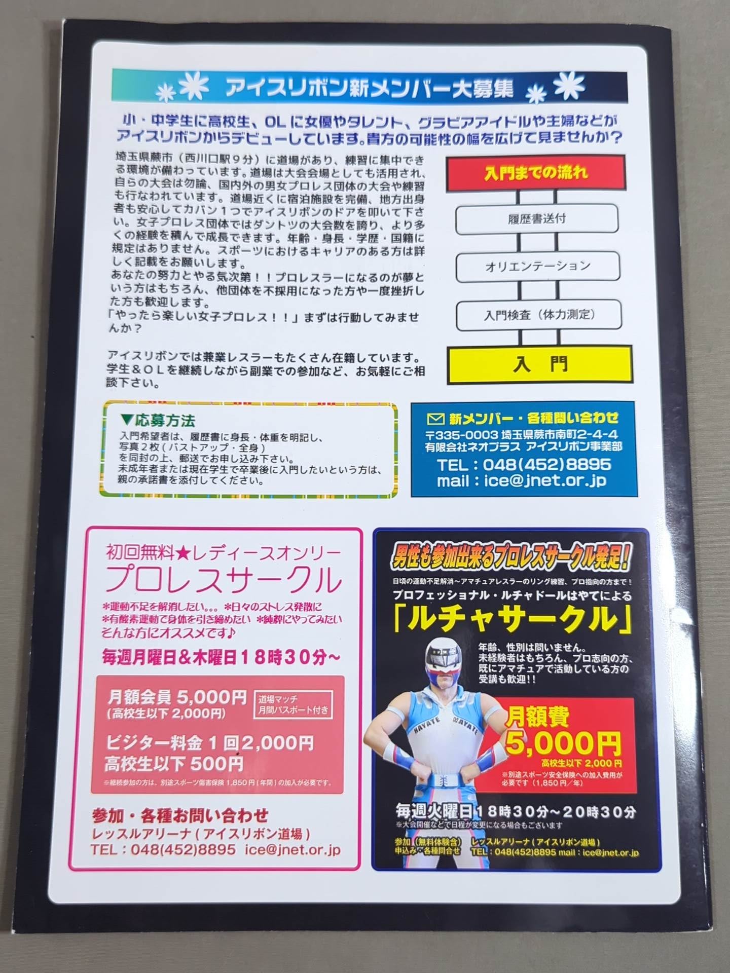 4選手直筆サイン入り】アイスリボンパンフレット(2017/4/24) – 闘道館