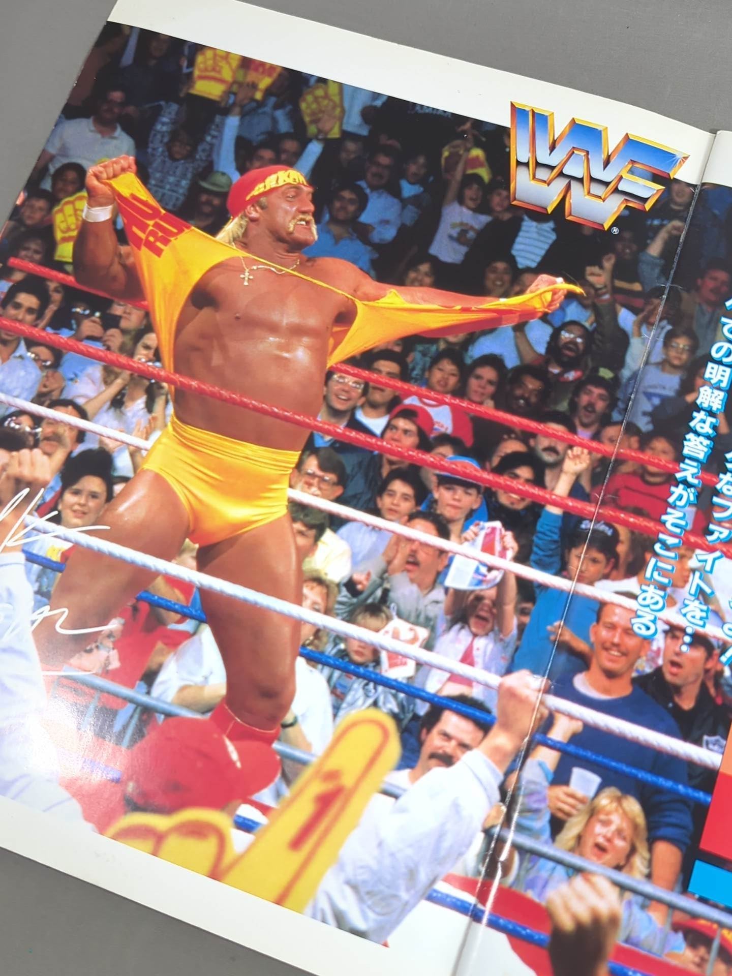 SWS / Wrestle Fest IN TOKYO DOME