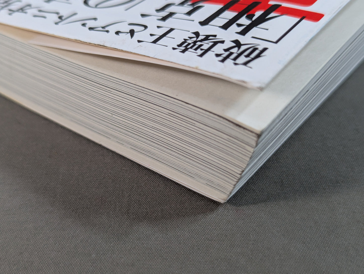 Testimony Shinya Hashimoto  King of Destruction and Antonio The truth about Inoki's "conflict"