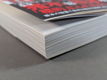 Testimony Shinya Hashimoto  King of Destruction and Antonio The truth about Inoki's "conflict"