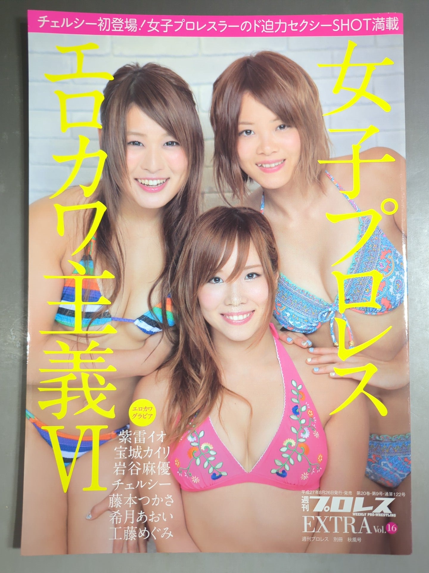 Weekly Pro Wrestling  Appendix 122 "Girls Pro Wrestling  Erokawa-ism VI."
