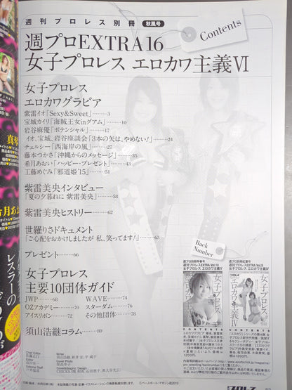 Weekly Pro Wrestling  Appendix 122 "Girls Pro Wrestling  Erokawa-ism VI."