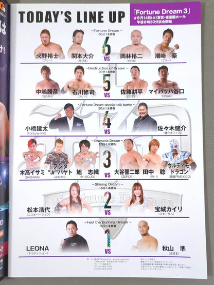 【半券付】Fortune Dream 3 / フォーチュンドリーム3