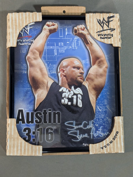 WWF Stone Cold Steve Austin Frame Photos(1)