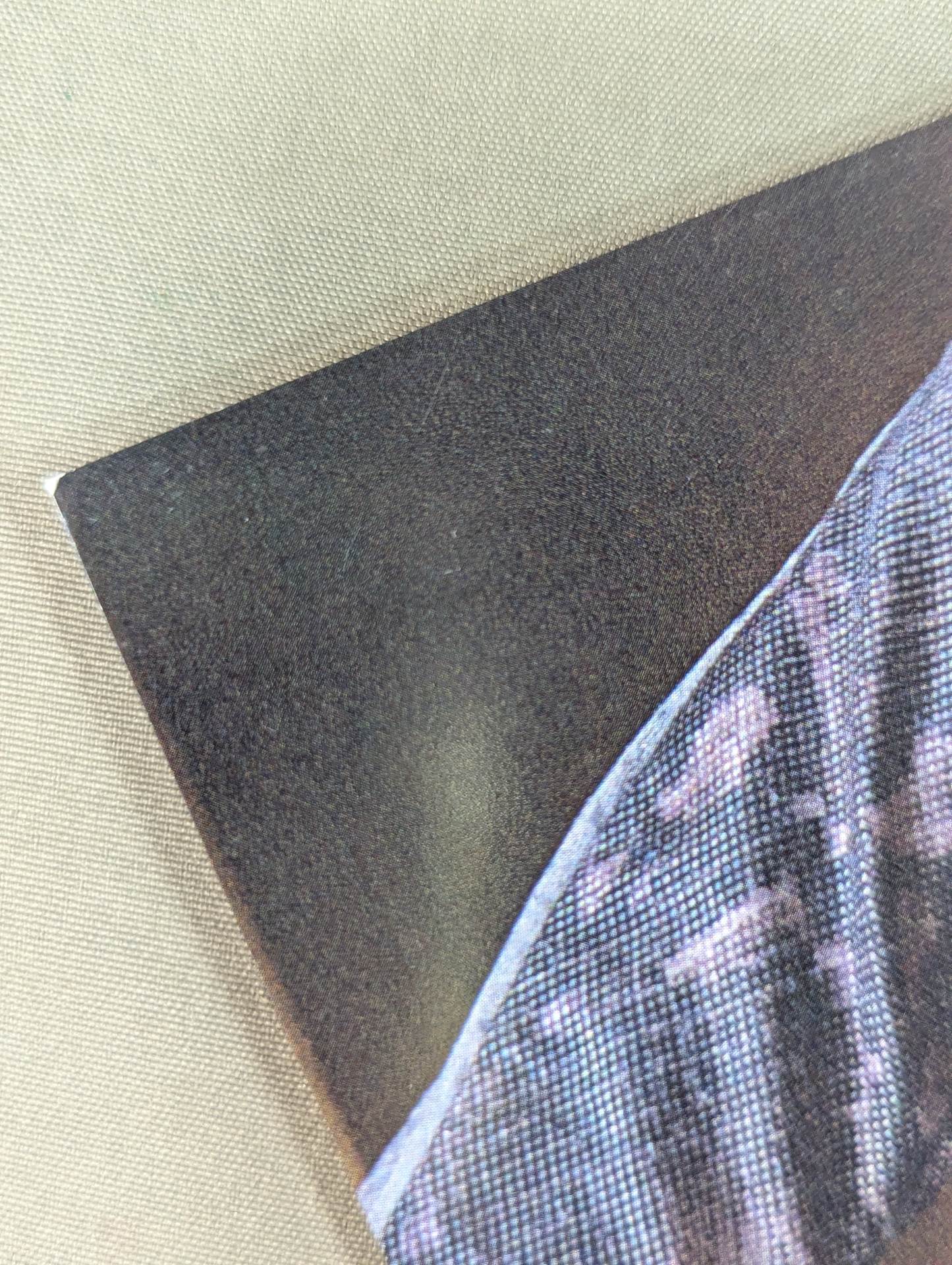 ジュリア 直筆サイン入り ポートレート(A-1)