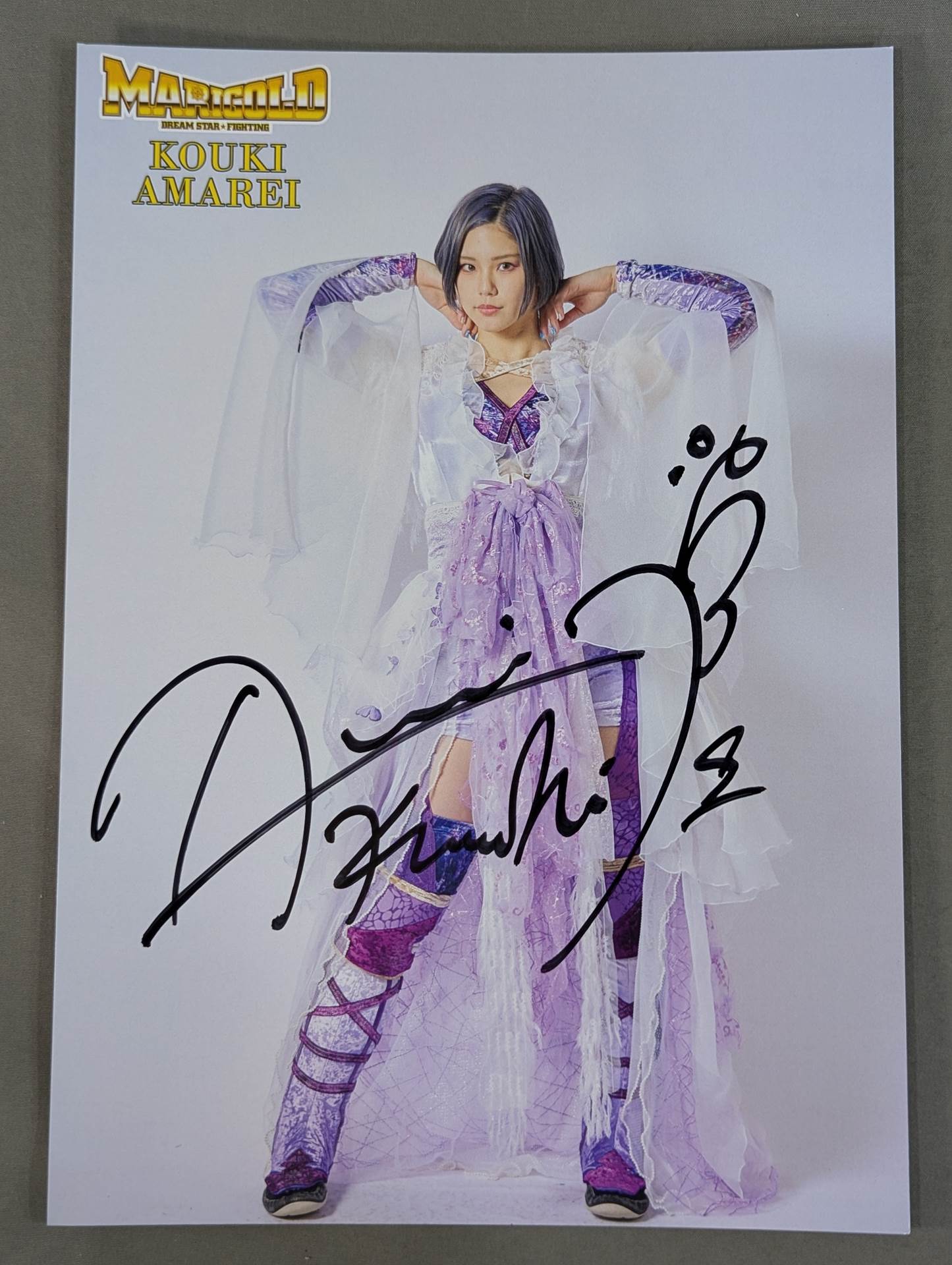 11月20日 – Page 5 – 闘道館