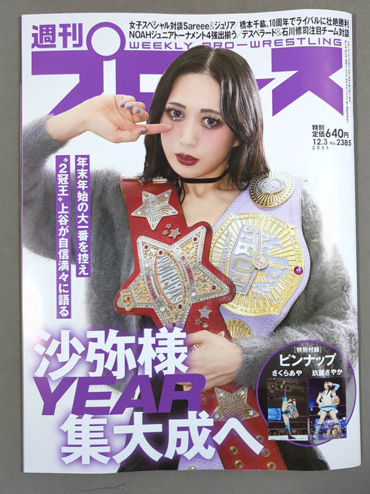 Weekly Pro Wrestling 2385