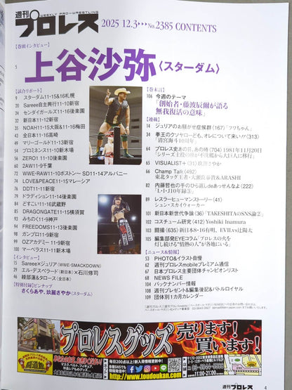 Weekly Pro Wrestling 2385