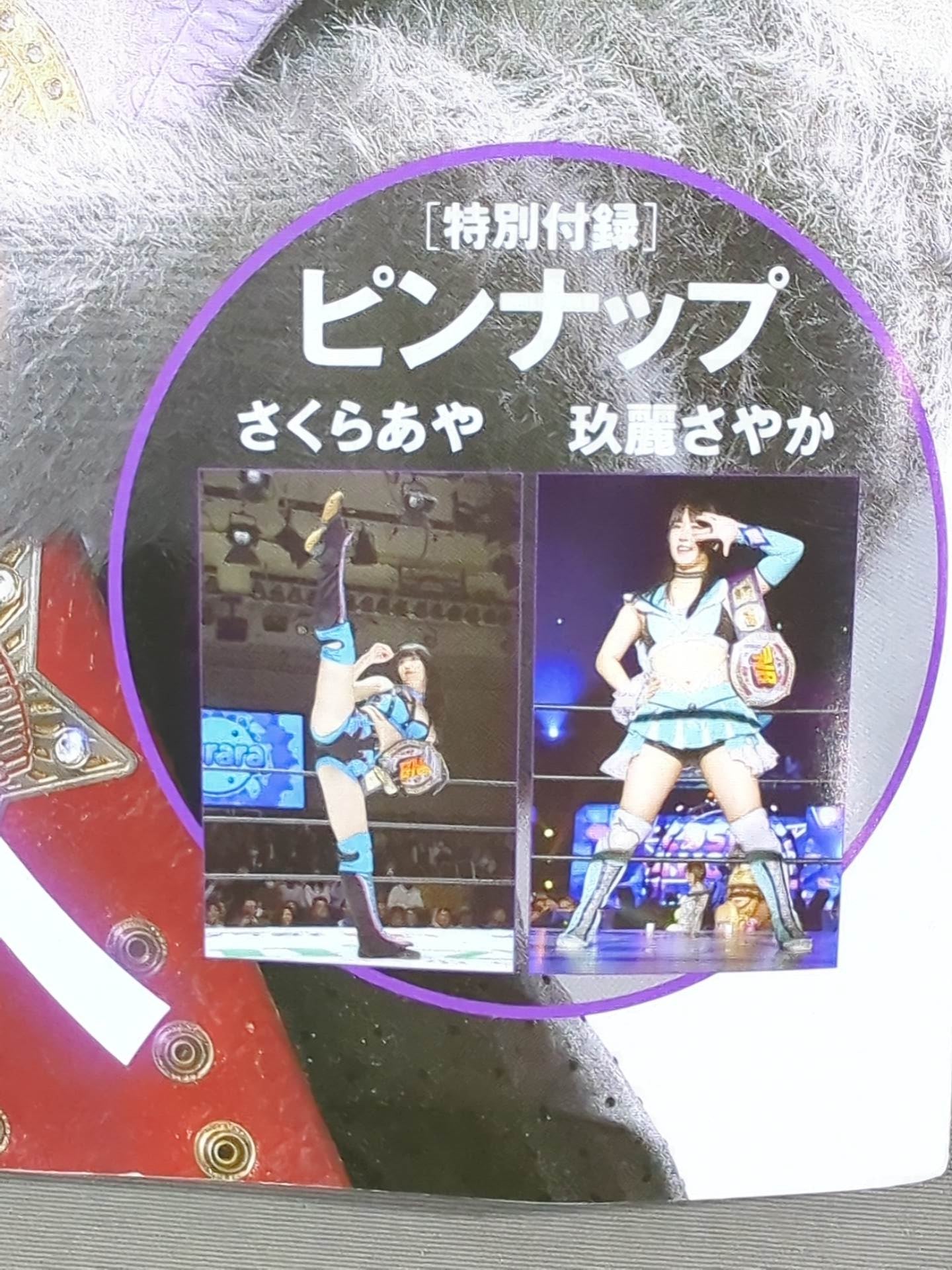 Weekly Pro Wrestling 2385