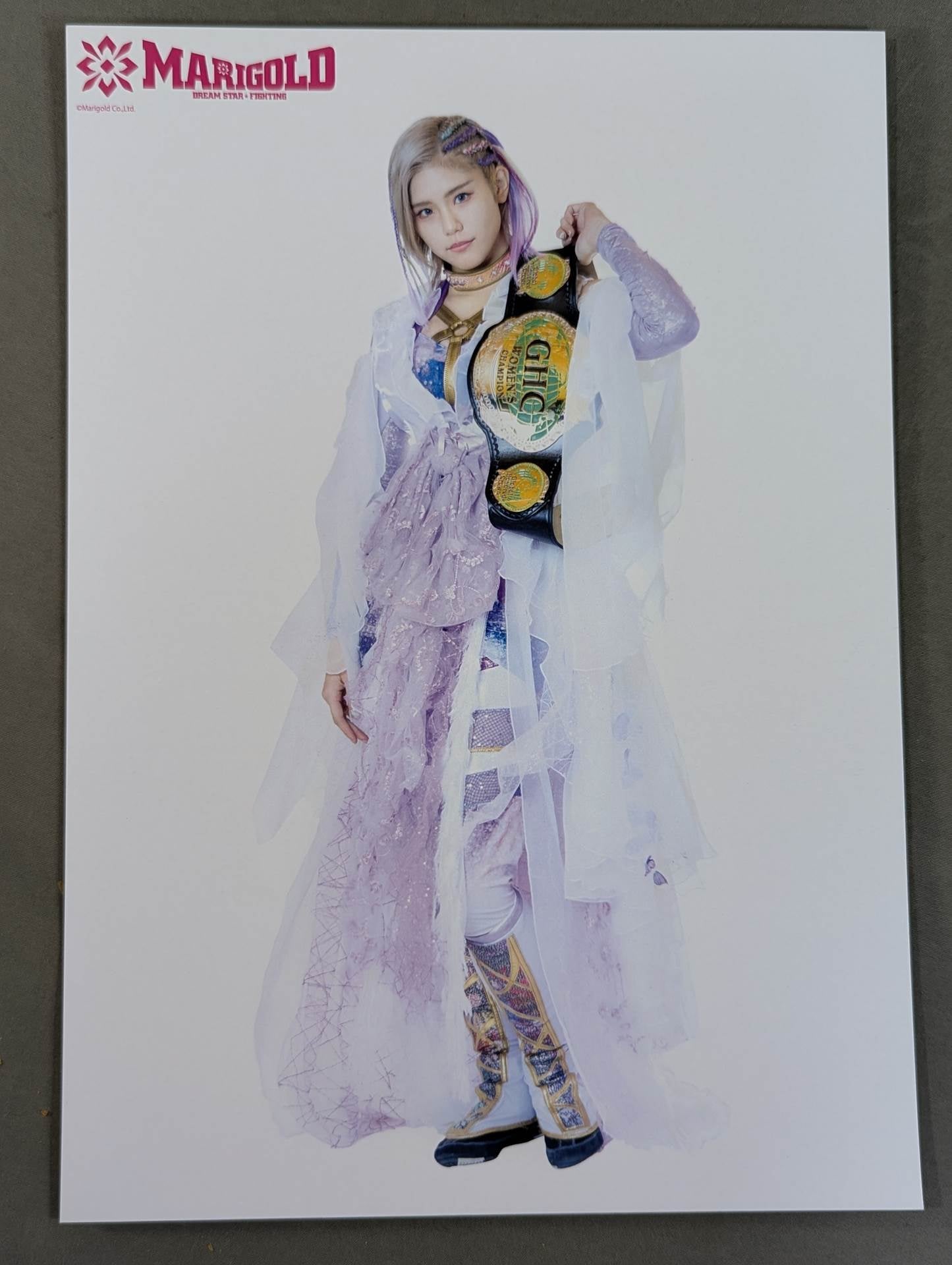 マリーゴールド ポートレート 2枚セット