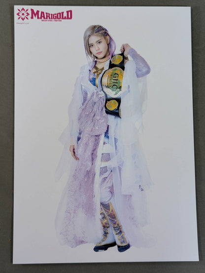 マリーゴールド ポートレート 2枚セット